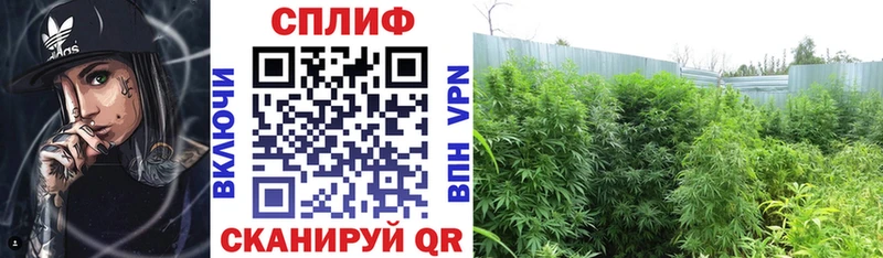 Где продают наркотики Тарко-Сале Кокаин  Меф мяу мяу  MDMA  Бошки Шишки 