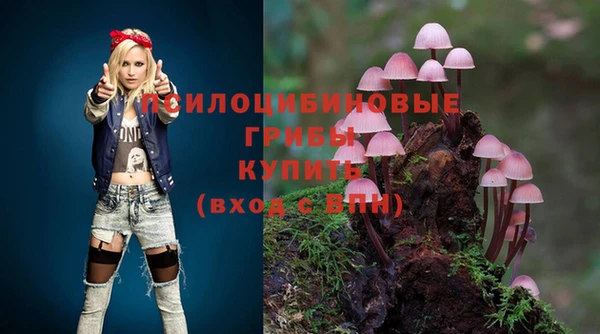 ешки Михайловка