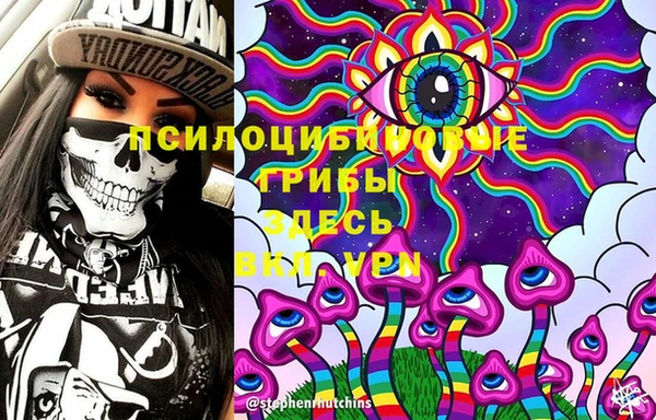 PSILOCYBIN Мегион